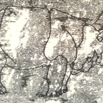 11 Rhino monoprint